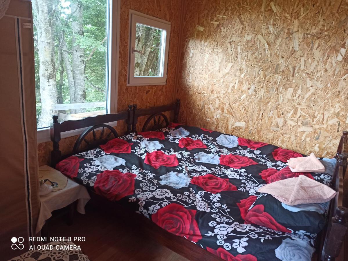 Katun Ljeljenak Hotel ปลูชิเน ภายนอก รูปภาพ